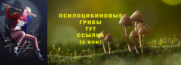 марки nbome Гусев