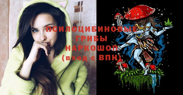 марки nbome Гусев