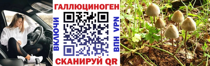 блэк спрут   Переславль-Залесский  Галлюциногенные грибы Cubensis  цена  